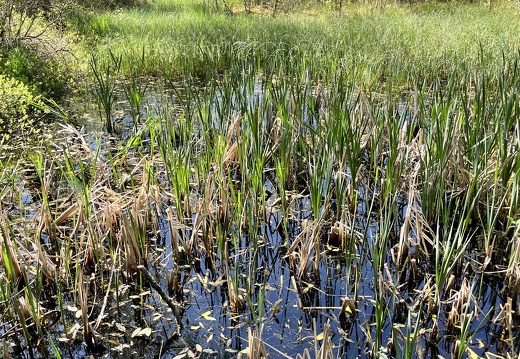 23-05-27 10-39-21 5718